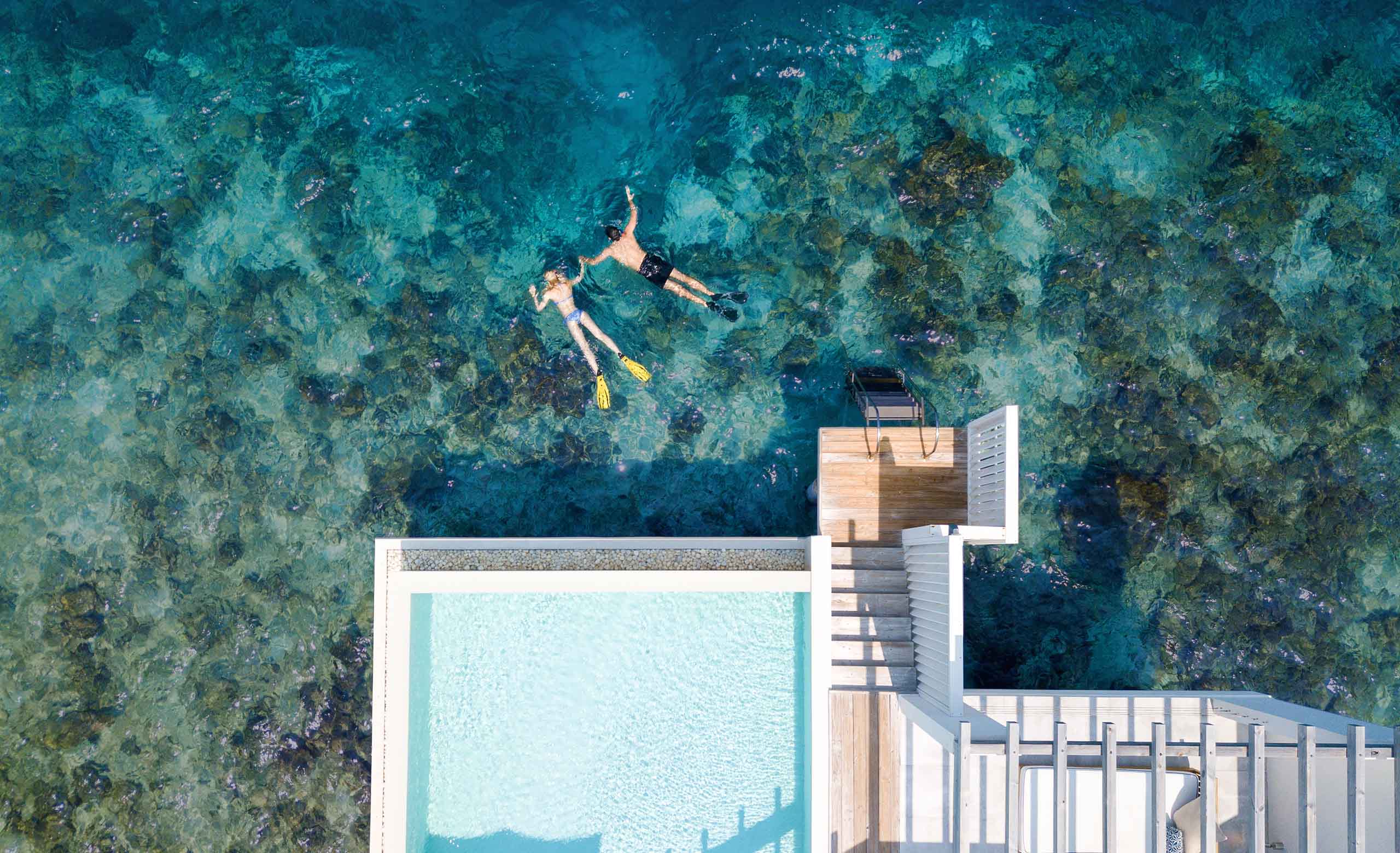 Snorkelling in the Maldives right from our Reef Water Villas.