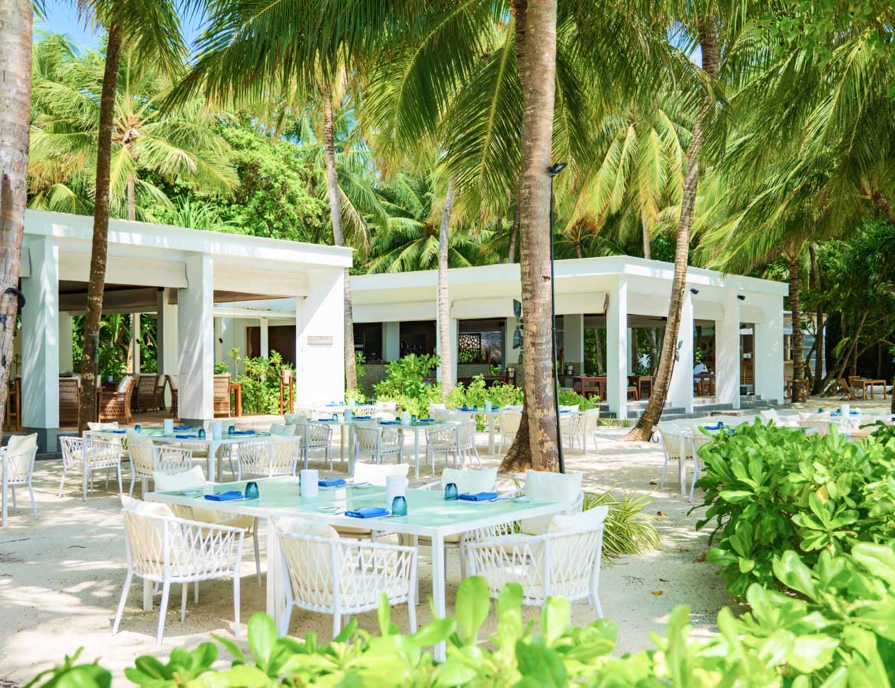 Barolo Grill - An Italian restaurant in the Maldives