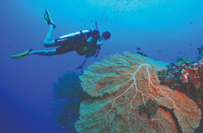 Maldives Activities and Adventures - Snorkelling