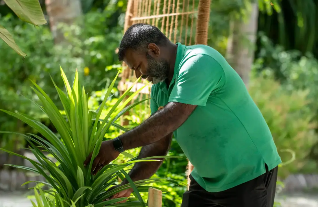 Majid, Gardener